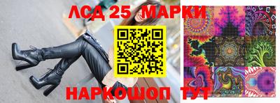 шишки Кингисепп