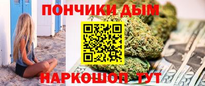 шишки Кингисепп