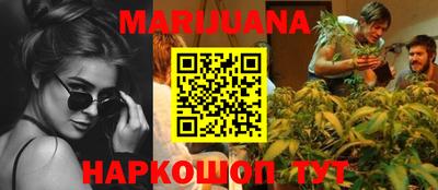 шишки Кингисепп