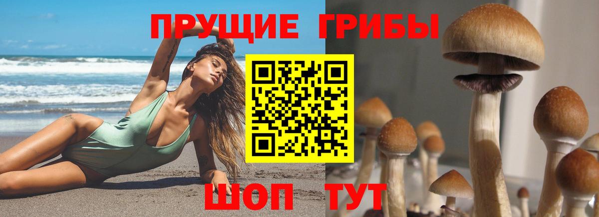 Псилоцибиновые грибы Psilocybe  Вход с VPN  Псилоцибиновые грибы Psilocybine cubensis  Красноуфимск 